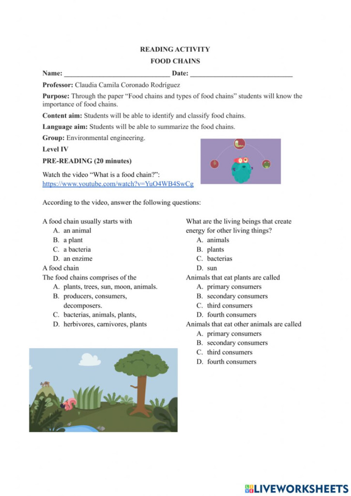 41 Build A Food Web Activity Answers Search Lesson Plans