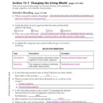 5 1 Light And Quantized Energy Worksheet Answers D31