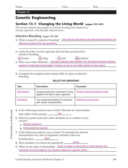 5 1 Light And Quantized Energy Worksheet Answers D31