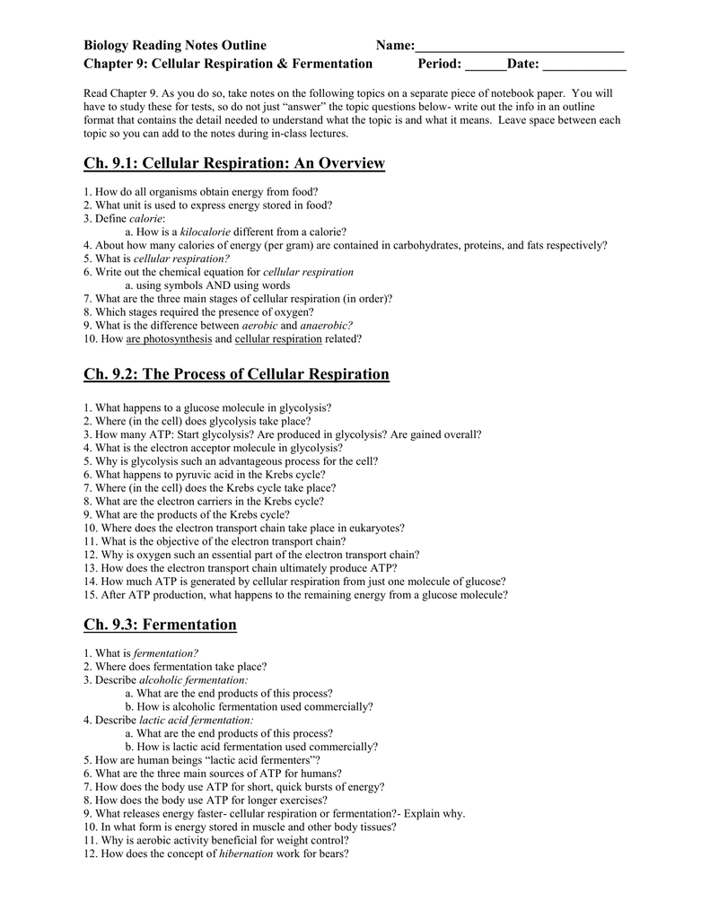 91 Cellular Respiration An Overview Worksheet Answers Worksheet List