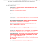 Atp The Cells Energy Molecule Worksheet Answers Wasfa Blog