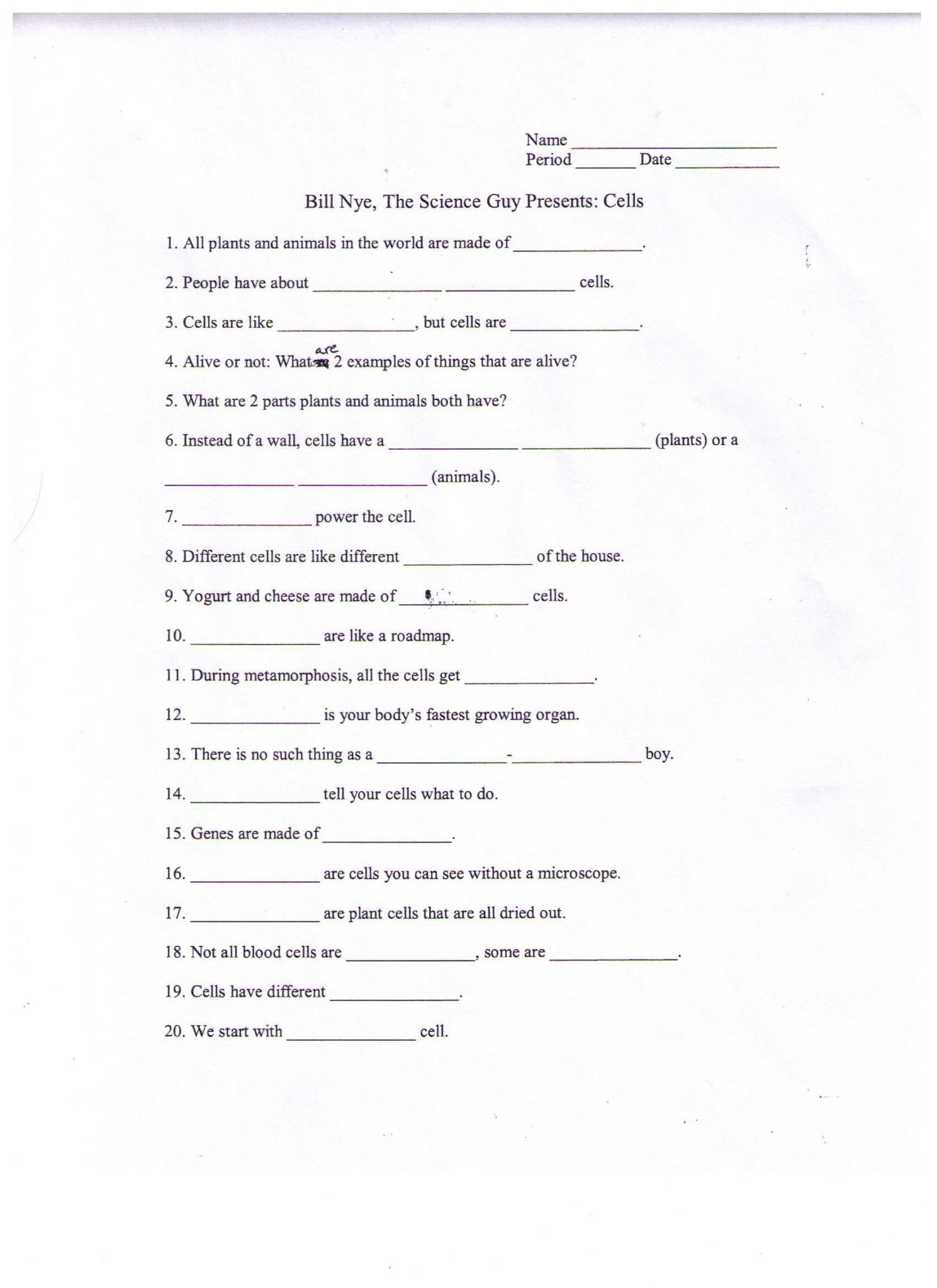 Bill Nye Energy Video Worksheet Answer Key 33 Food Web Worksheet 