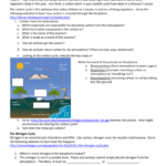 Biogeochemical Cycles Webquest Key 35 Biogeochemical Cycles Webquest