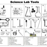 Biology Lab Equipment Worksheets
