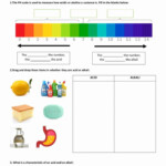 Blank Ph Scale Worksheet Awesome Science Acids And Alkalis Interactive