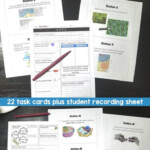 Cell Analogy Worksheet Key Worksheet Educational Ideas