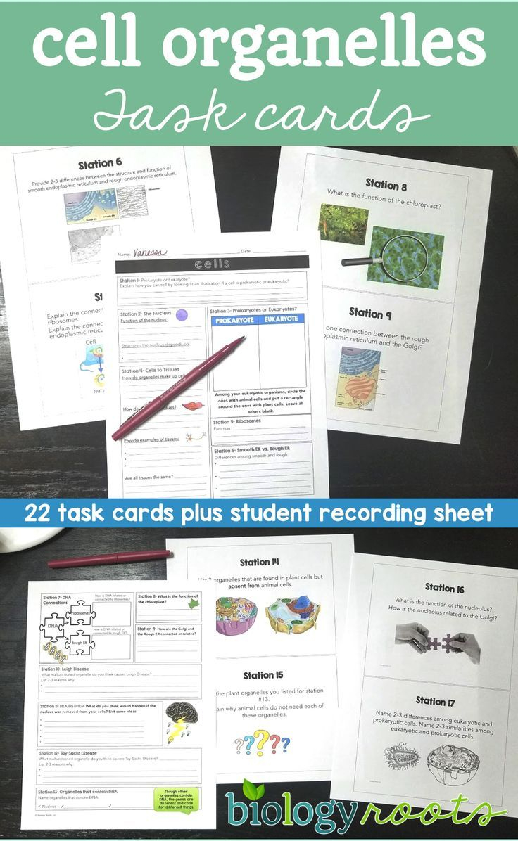 Cell Analogy Worksheet Key Worksheet Educational Ideas