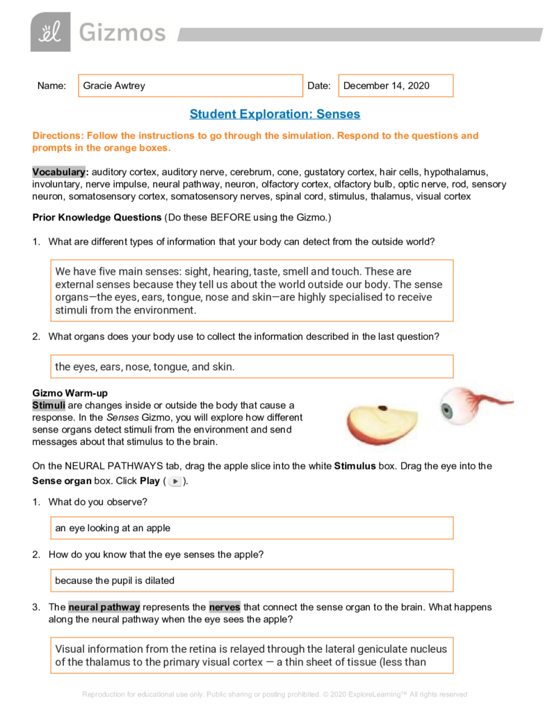 Cell Division Gizmo Answer Key Activity B Waltery Learning Solution 