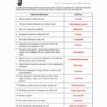 Cell Parts And Functions Worksheet Answers Worksheets Samples