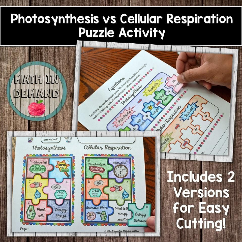 Cellular Respiration Formula Equation