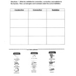 Conduction Convection Radiation Worksheets