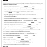 Conservation Of Energy Worksheet Answers Intermediate Energy Infobook