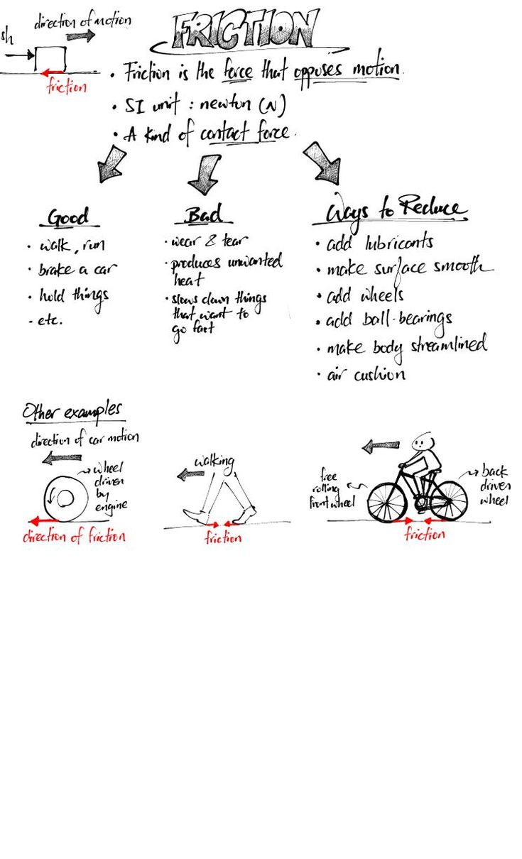 Conservation Of Momentum Worksheet