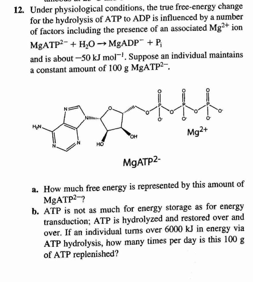 Does Atp Or Adp Have More Free Energy Wasfa Blog