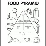 Ecological Pyramids Worksheet Quizlet Try This Sheet