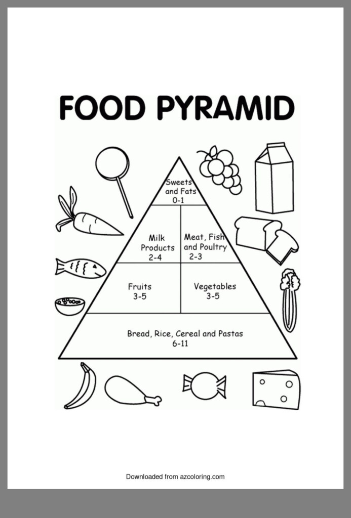 Ecological Pyramids Worksheet Quizlet Try This Sheet