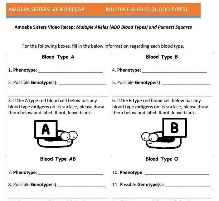 Ecological Relationships Worksheet Pdf Answer Key Amoeba Sisters 