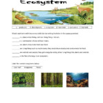 Ecosystems Worksheet For 4