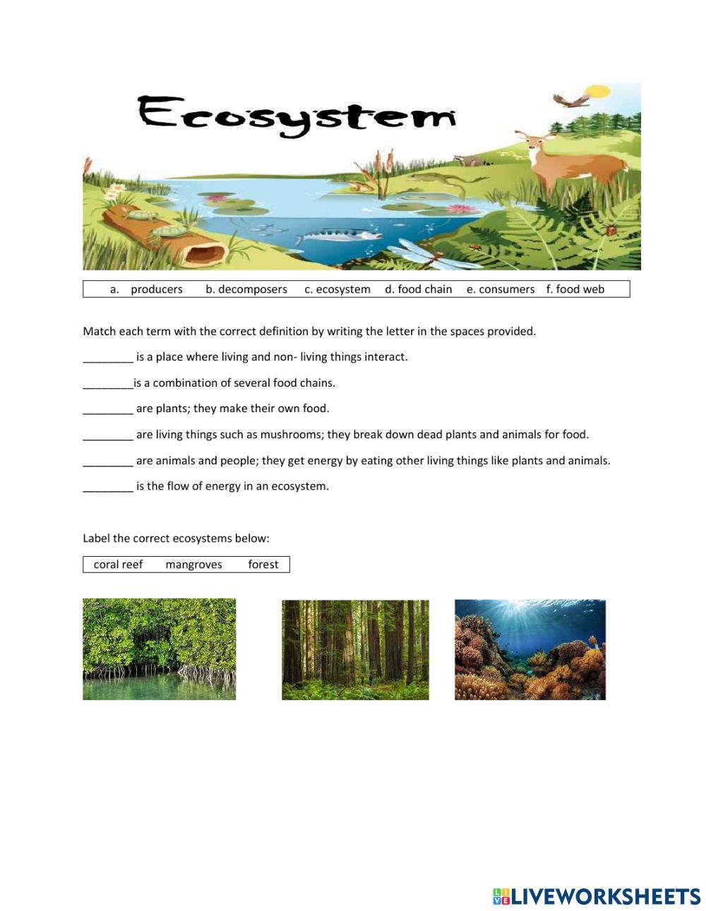 Ecosystems Worksheet For 4