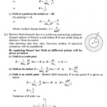 Electric Field Worksheet NINA LIFECHAPTER