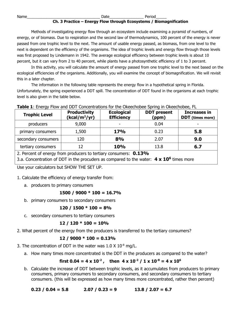 Energy Flow Calc Worksheet From Ecology Wb Answers Db excel