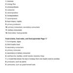 Energy Flow In Ecosystems Worksheet Answer Key Worksheet List