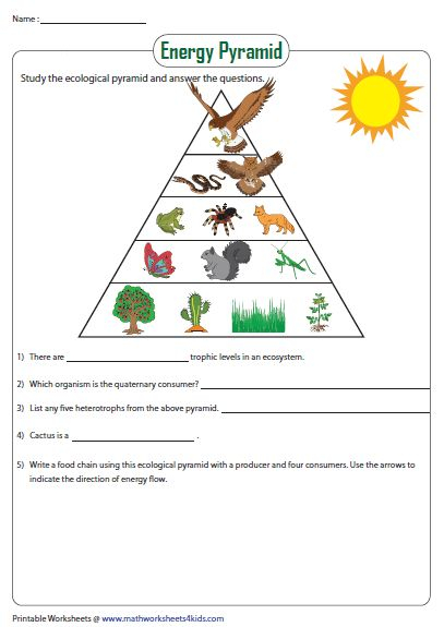 Energy Pyramid Worksheet Energy Pyramid Science Crafts 4th Grade 