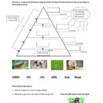 Energy Pyramids Energy Transfer Drag And Drop Activity Quiz Worksheet