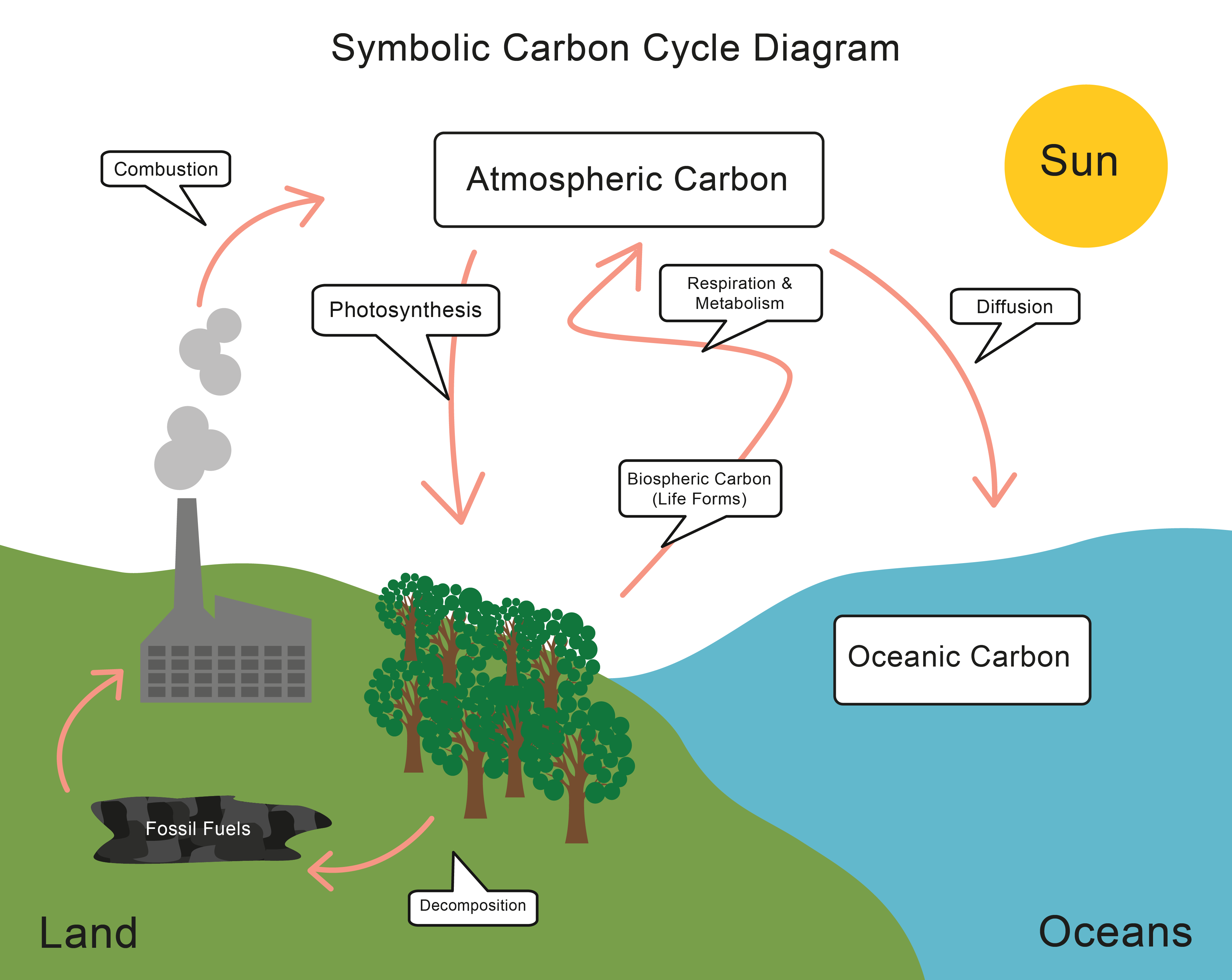 Energy Transfer And The Carbon Cycle Worksheet From EdPlace