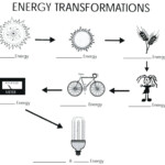 Energy Transformation Worksheet Middle School Db excel