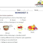 Evs Worksheets For Grade 1