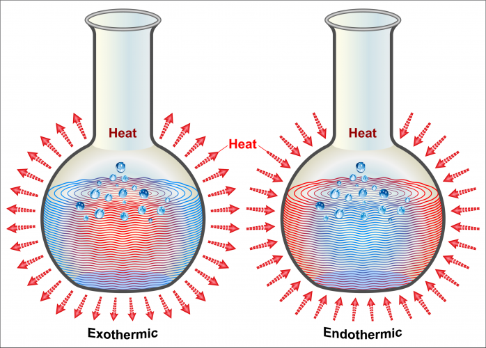 Example Of Exothermic And Endothermic Reaction In Everyday Life Artis