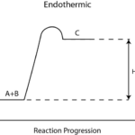 Exothermic And Endothermic Processes Introduction To Chemistry