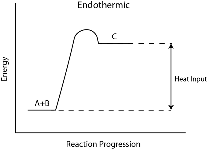 Exothermic And Endothermic Processes Introduction To Chemistry