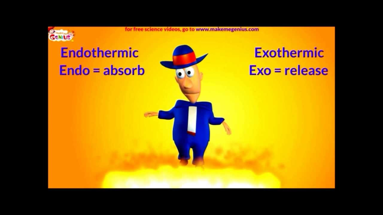 Exothermic And Endothermic Reactions Video For Kids YouTube