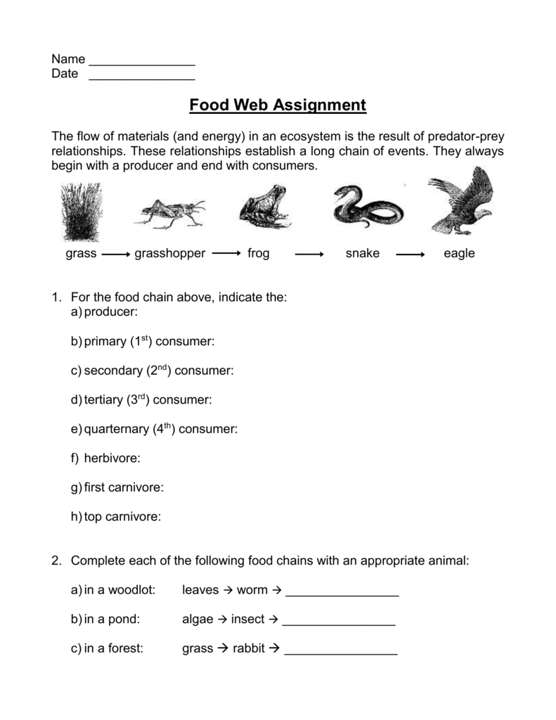 Food Web Worksheet Answer Key Promotiontablecovers