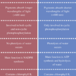 Formidable Anaerobic Respiration Balanced Equation Physics For Ssc Cgl Pdf