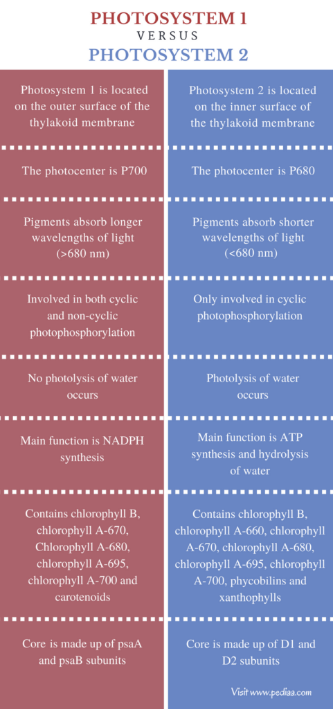 Formidable Anaerobic Respiration Balanced Equation Physics For Ssc Cgl Pdf