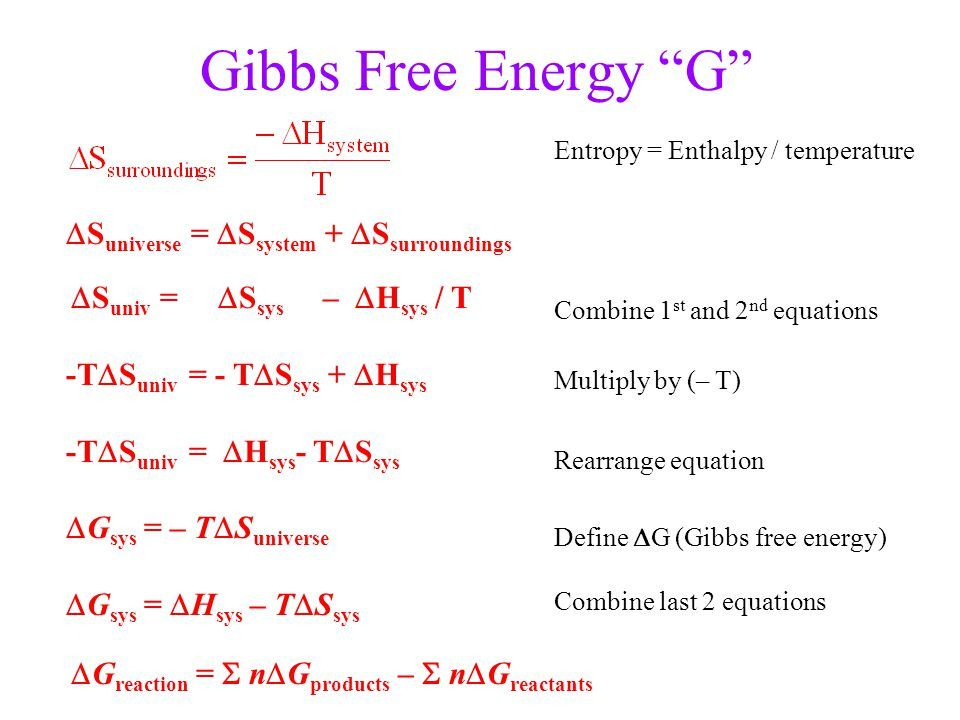  Gibbs Free Energy Worksheet Answers Free Download Goodimg co