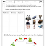 Gizmos Food Chain Worksheet Answers Show Me What You Know Food