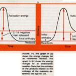 Heartwarming Potential Energy Diagrams Balancing Chemical Equations