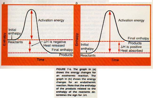 Heartwarming Potential Energy Diagrams Balancing Chemical Equations