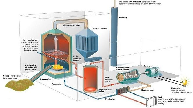How Do Biomass Energy Work Charles Agnew