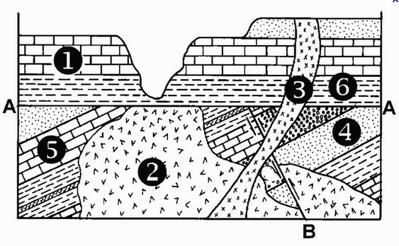 Interpreting Reaction Coordinates Worksheet Answers Eric Schematic