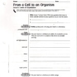Introduction To Cells Worksheet Answers Ivuyteq
