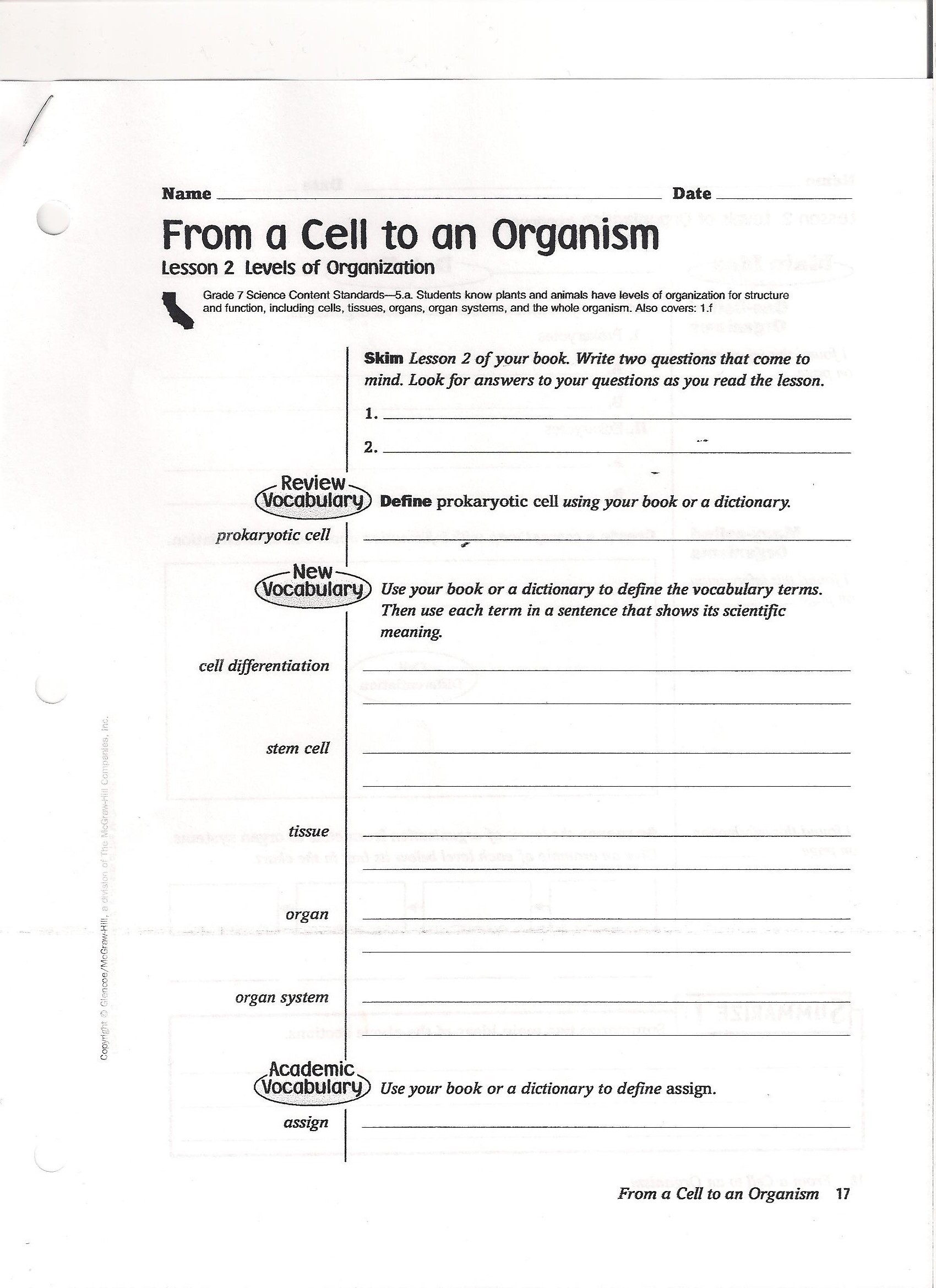 Introduction To Cells Worksheet Answers Ivuyteq