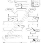 Monicascraftydesigns Cellular Respiration Concept Map Worksheet Answers