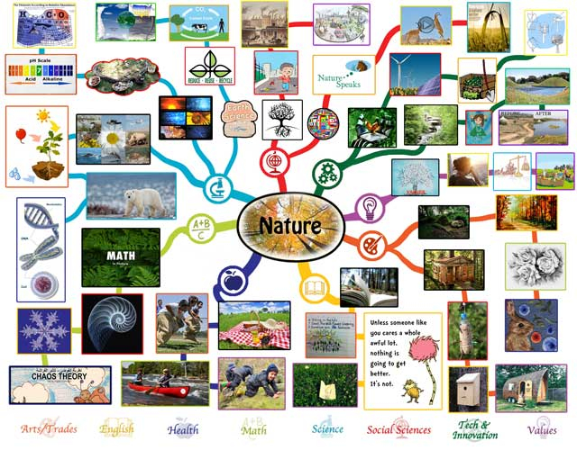 Nature Lesson Plan All Subjects Any Age Any Learning Environment 