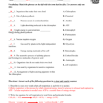 Photosynthesis And Cellular Respiration Comparison Worksheet Answer Key