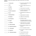 Photosynthesis Cellular Respiration Vocabulary